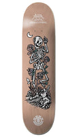 Element - 8.0" Timber Garden Bygone Skateboard Deck