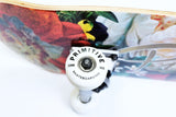 Primitive Nuevo Bacchanal Skateboard